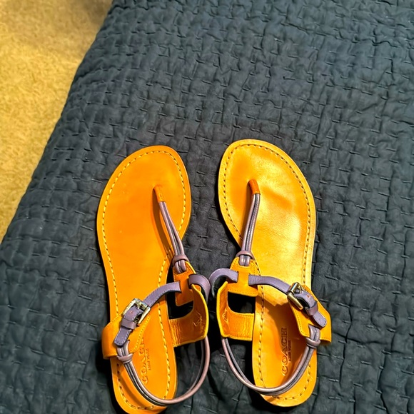 Coach Shoes - Coach blue and tan leather sandals lightly used